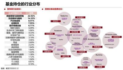 砸崩特斯拉的BG究竟什么來頭？軟件外包服務全景解析